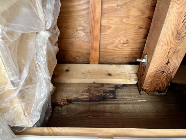 構造部雨漏りのイメージ