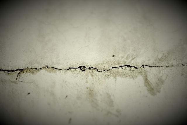 exterior wall coating