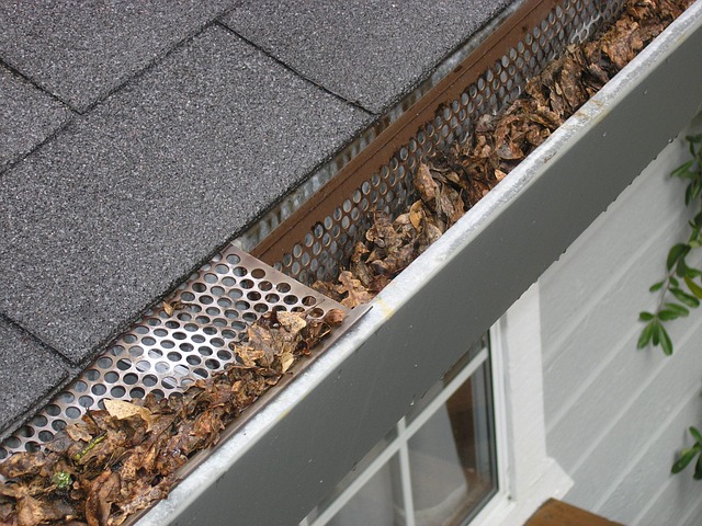 exterior-home-maintenance