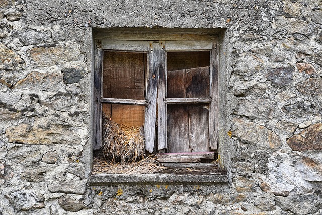 exterior-painting