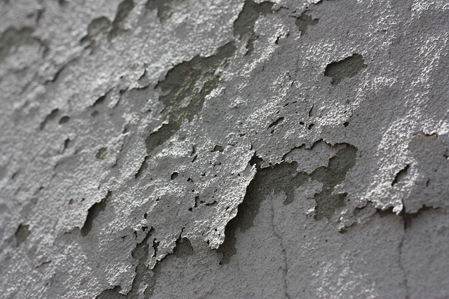 exterior wall painting